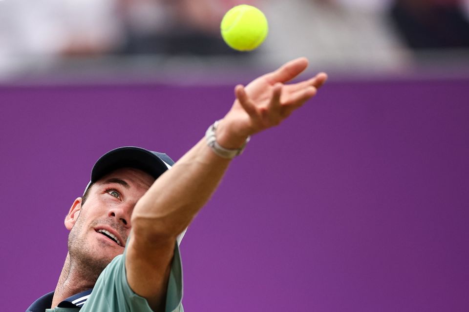 先活下来 先活下来